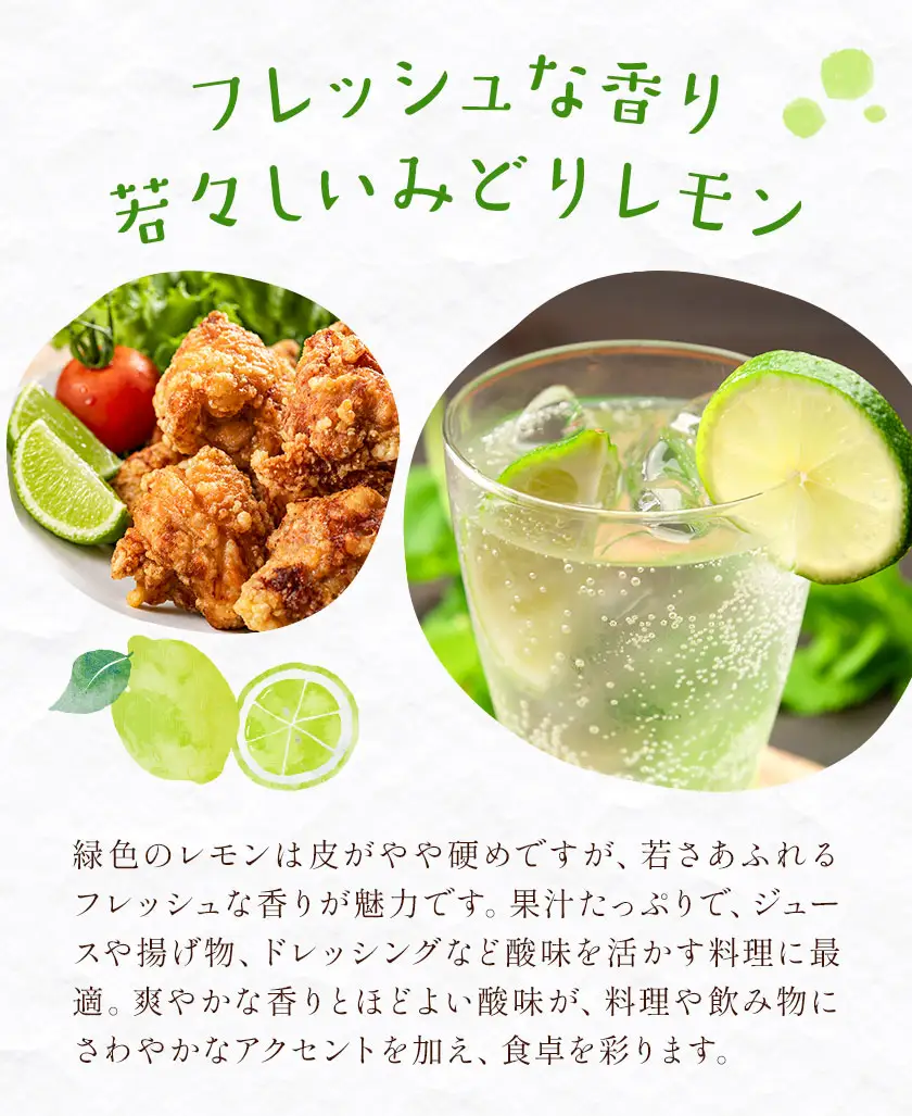 レモン 秀品 緑色 10kg 株式会社農業福祉研究機構