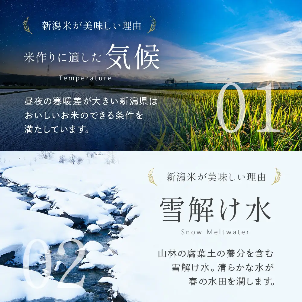 令和8年産【精米】新潟県産 こしいぶき 10kg
