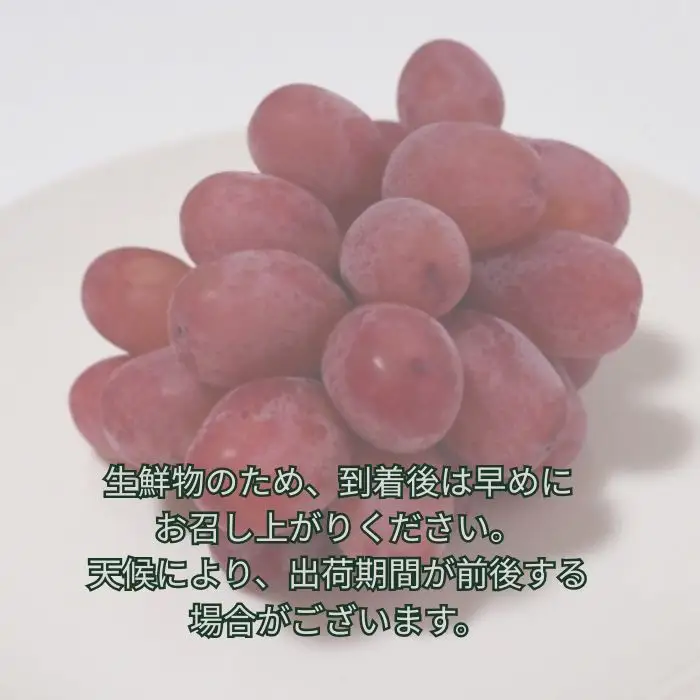 クイーンルージュ(R）2kg