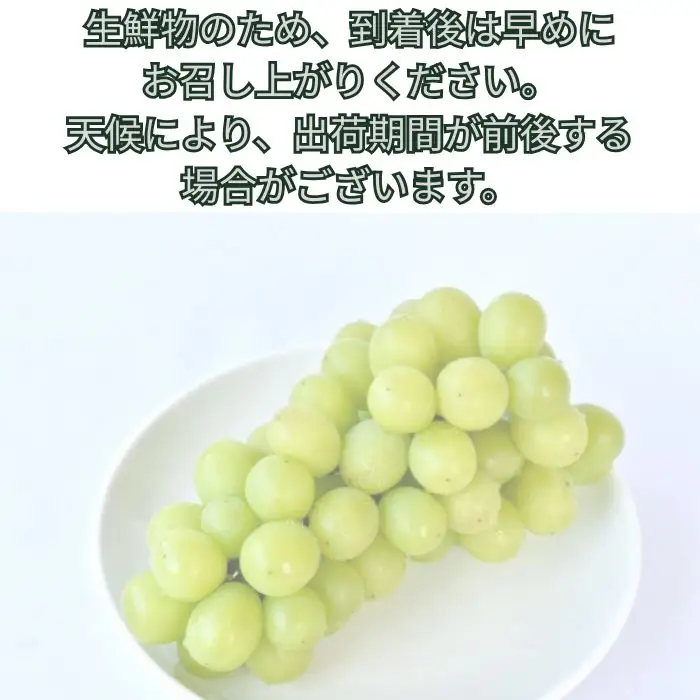 訳ありシャインマスカット2kg