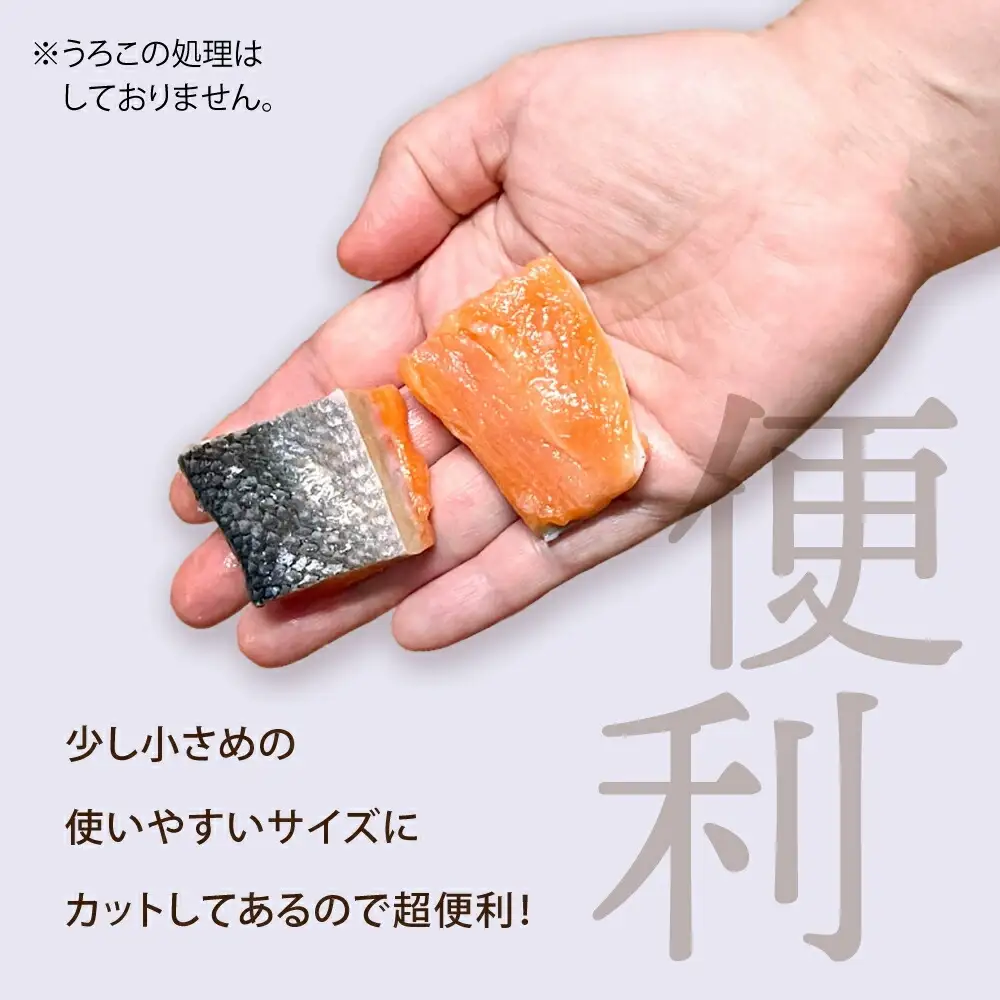 訳あり ゴロゴロ銀鮭 切り落とし 1.5kg ×2箱 (計3kg) FN-Limited-VO