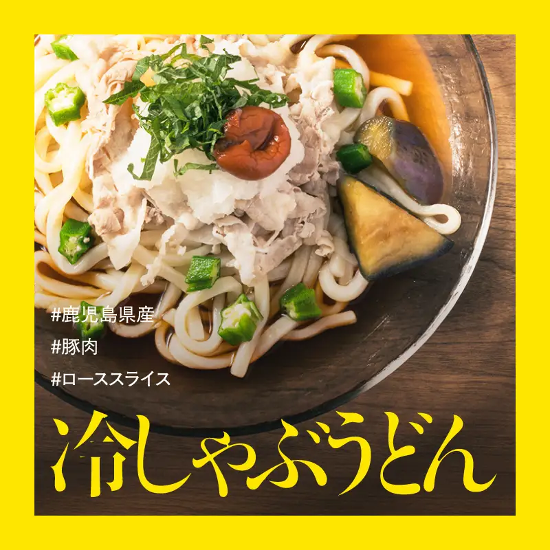 鹿児島県産 豚肉 ロース（ 又は 肩ロース ） スライス （500g）・ カツ （5枚） セット KN179-004-01 肉 豚