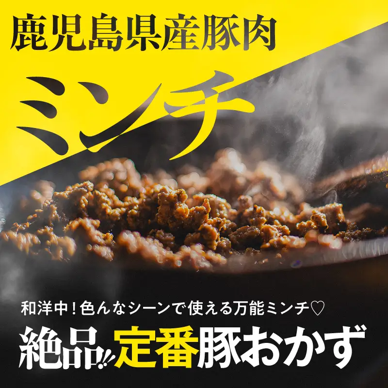 【 全3回 定期便 】鹿児島県産 豚肉ミンチ 3.0kg（500×6パック） KN179-T03 肉 豚