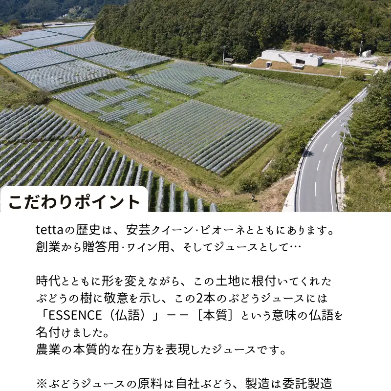 tetta ぶどうジュース 2本セット 各720g