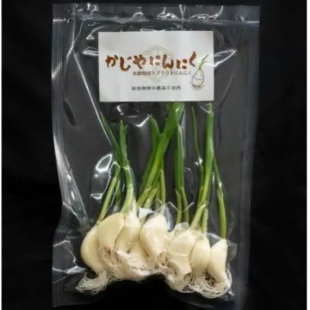 【9月中旬以降順次発送!】まるごと!スプラウトにんにく(80g×3パック)　栄養満点スーパーフード【配送不可地域：離島】【1735500】