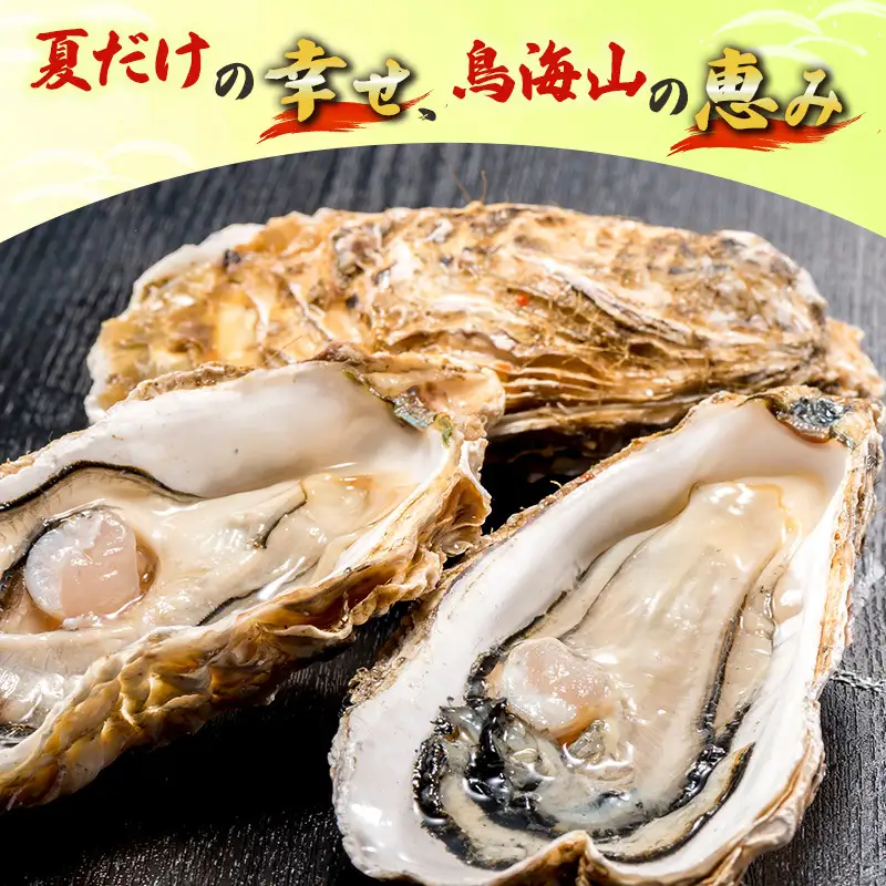 【先行予約】天然岩牡蠣 10～12個 生食可 象潟産 ナイフ無