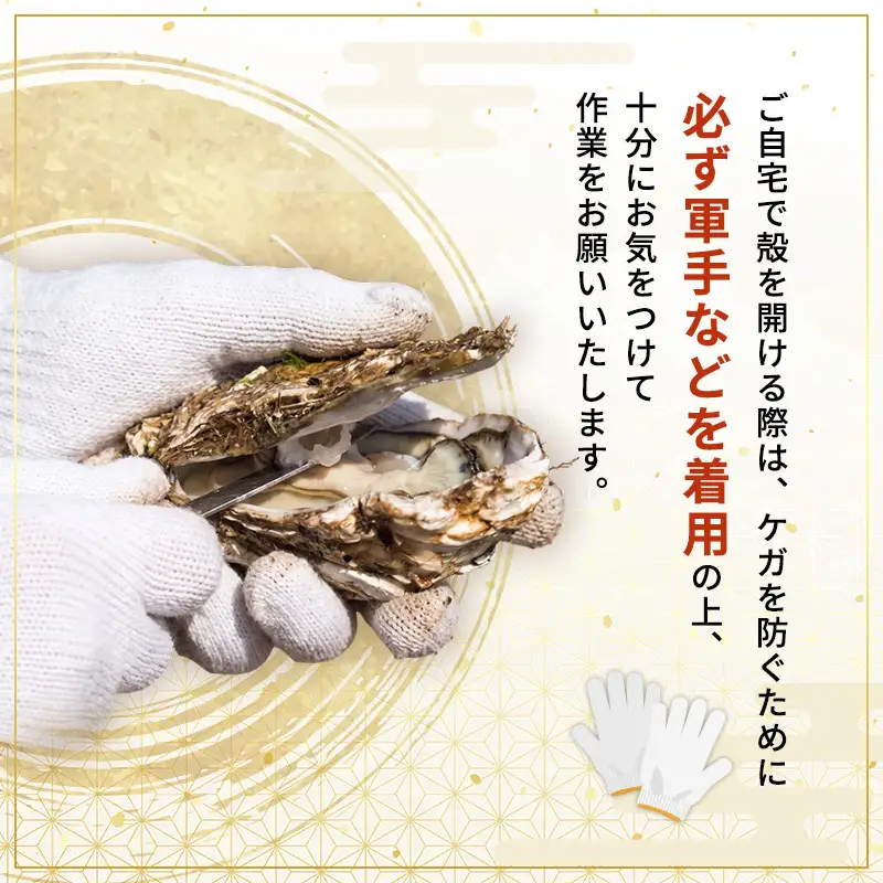 【先行予約】天然岩牡蠣 5～6個 生食可 象潟産 ナイフ無