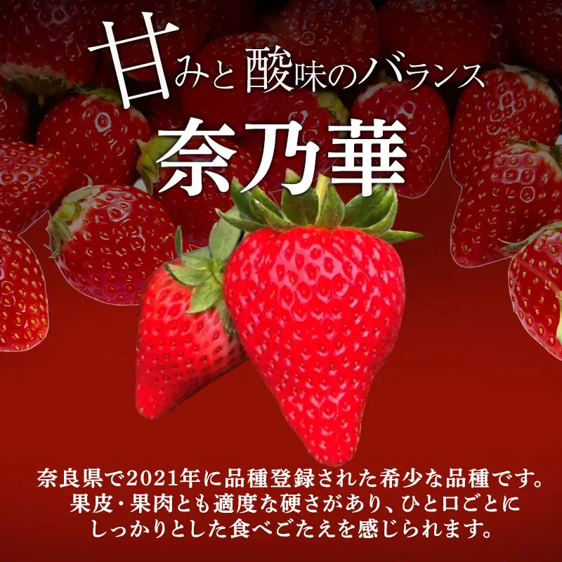 いちご 今西さん家の奈良いちご 古都華 奈乃華 いちご【約540g 270g×2パック】【定期便2回】【先行予約】