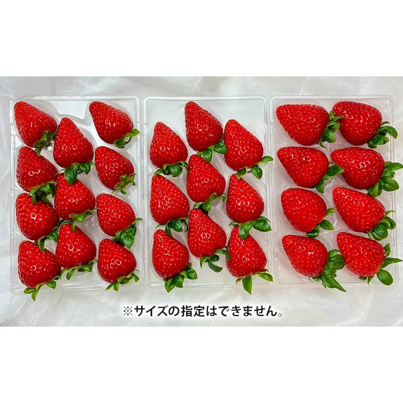 いちご 古都華 北村農園 奈良県産 いちご【2パック】【定期便2回】【先行予約】
