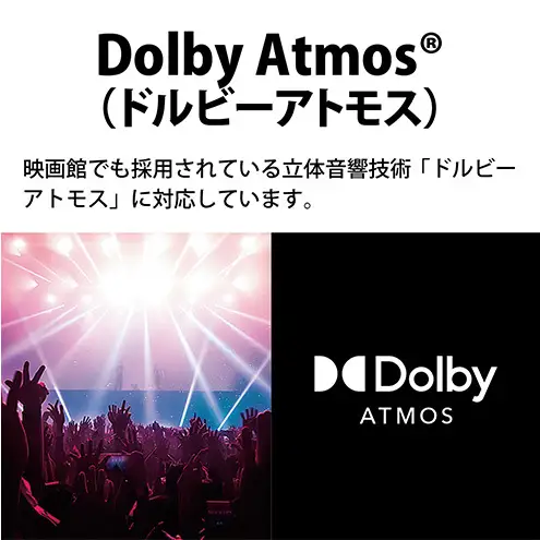 ネックスピーカー シャープ AN-SX8 ワイヤレス ネックスピーカー