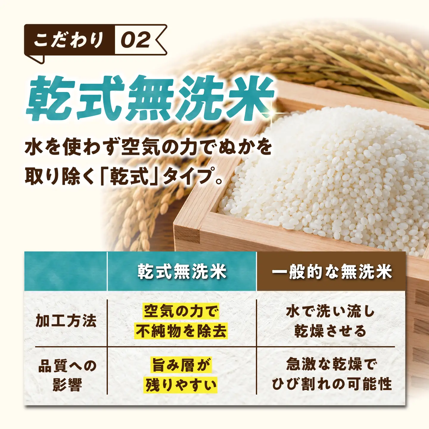 【3回定期便】 無洗米 さがびより 5kg（5kg×1袋） 無洗米 お米 白米 精米 佐賀県産 米 /大塚米穀店[UFE002]