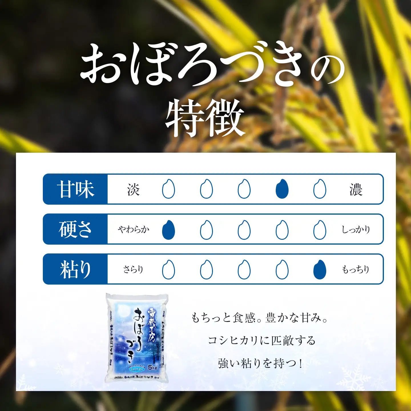 【3回定期便】雪蔵工房 ゆめぴりか おぼろづき 計10kg（5kg×2袋） | 精米 お米 米 北海道 北海道米 | JAびばい