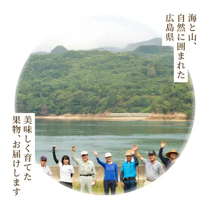 ひろしま フルーツ定期便 ～ シャインマスカット 不知火 (しらぬい)～《全2回定期便》数量限定☆先行受付 フルーツ 果物 くだもの 産地直送 ぶどう ブドウ みかん 柑橘 三原・世羅共通返礼品 広島 T13