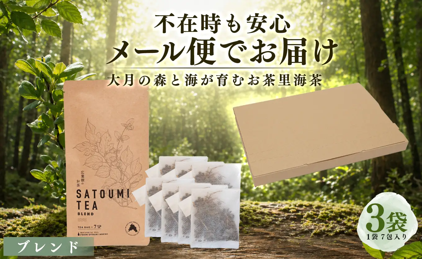 広葉樹のお茶 里海茶 ブレンド 3袋 21パック入り カフェインフリー 自然栽培 野草茶 高知県 大月町