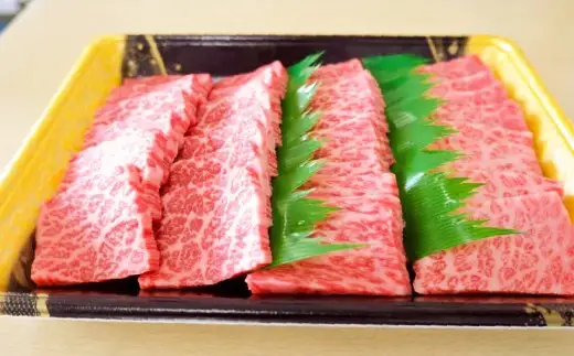 部位おまかせ 3種 夢咲牛焼肉セット 特製タレ付 （ 牛肉：計約500g ・ たれ：400g ） お肉 肉 ニク にく 牛肉 牛 国産黒毛和種牛 国産 黒毛和種牛 静岡県産 ブランド牛 遠州夢咲牛 セット 食べ比べ 詰め合わせ 冷凍