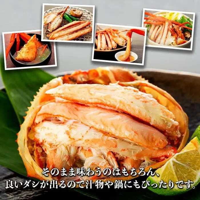 カニ 2027年1月発送 訳あり ボイル紅ズワイガニ 2～3杯セット かに 蟹 冷蔵