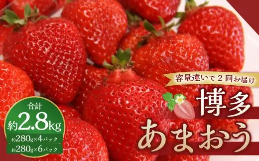 博多あまおうリッチな3回定期便 いちご イチゴ 苺 あまおう くだもの 果物 フルーツ 果実 果汁 果肉 定期便 定期 定期配送 国産 福岡県産 【 2026年12月上旬～2027年2月下旬発送予定 】