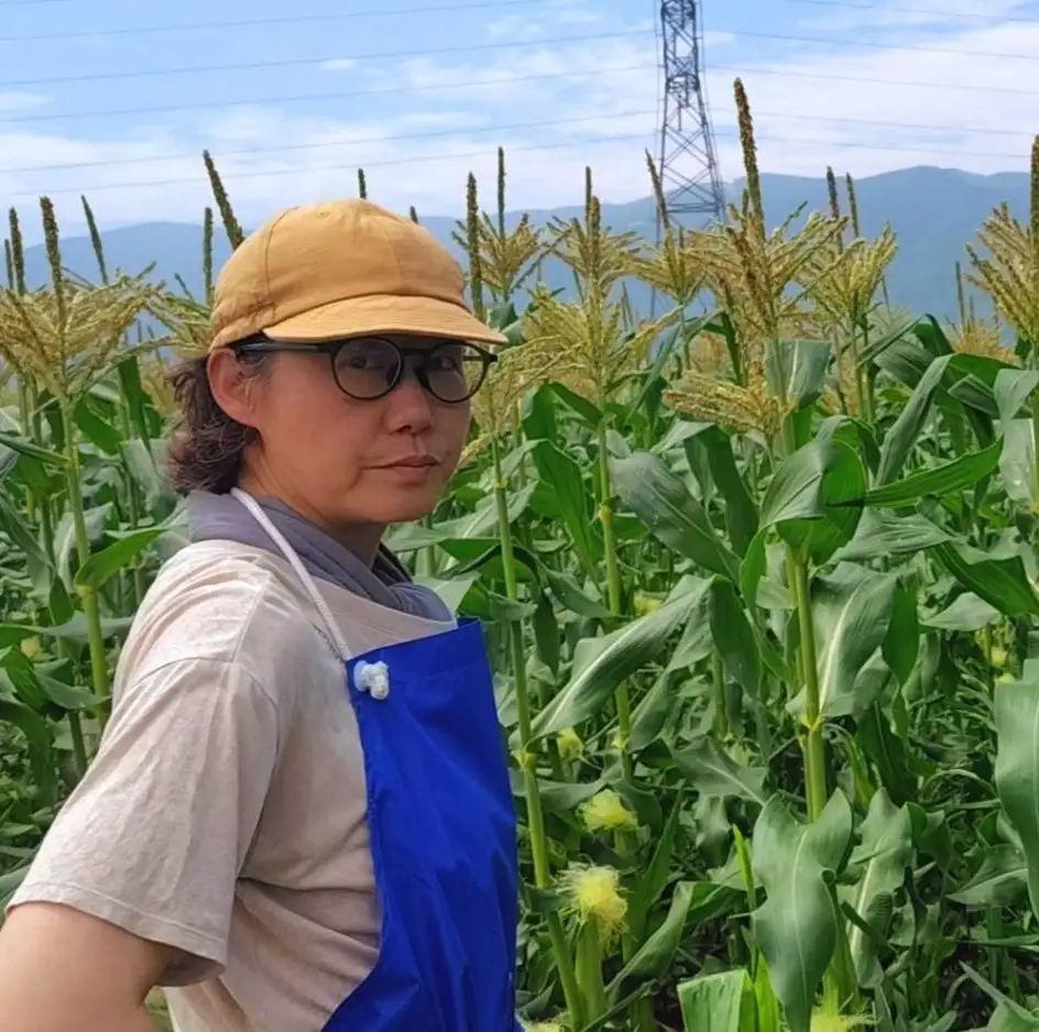 八ヶ岳産 朝採れ とうもろこし 6本 【2026年7月下旬～発送】| イケブチ農園