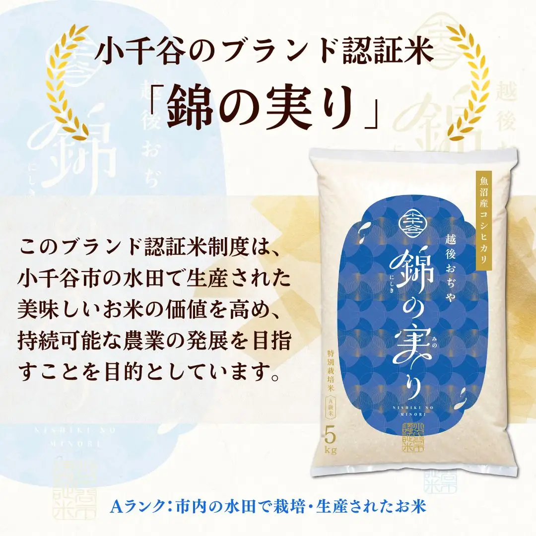 【コシヒカリ】令和7年産 魚沼産コシヒカリ 定期便 ブランド認証米 錦の実り Aランク 精米20kg (5キロ2袋 毎月全2回) 