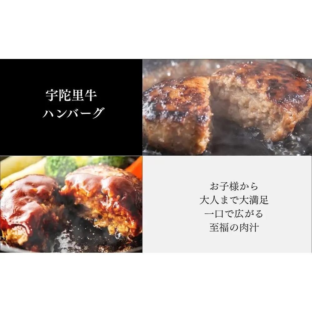 宇陀里牛 BMHセット（ベーコン500g・ミニステーキ2枚・ハンバーグ2個） ／ ふるさと納税 国産 黒毛和牛 牛肉 ステーキ バーベキュー BBQ キャンプ お中元 暑中見舞い お土産 お歳暮 正月 奈良県 宇陀市 光福久屋