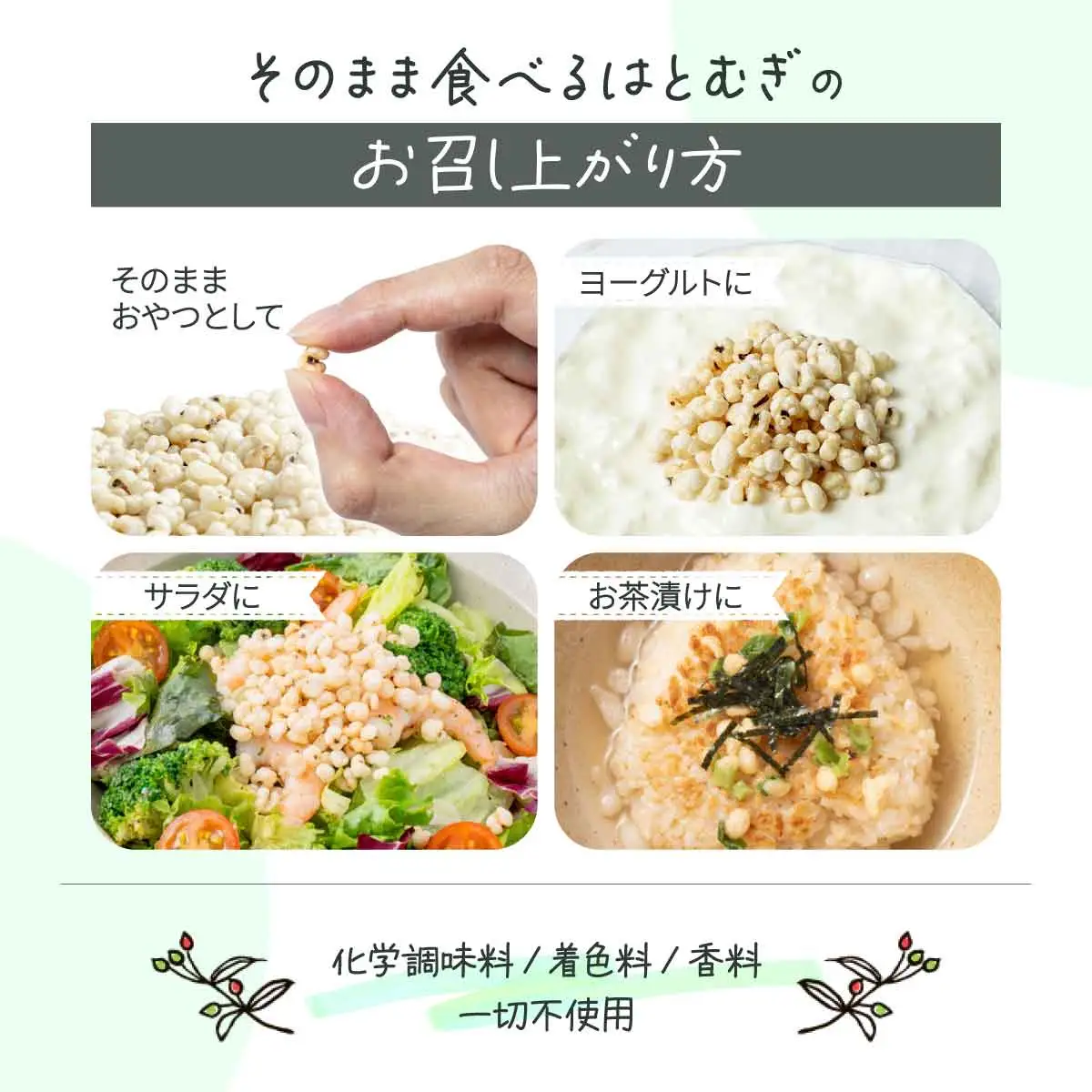 サクサクおやつ「そのまま食べるはとむぎ」【crt-001】