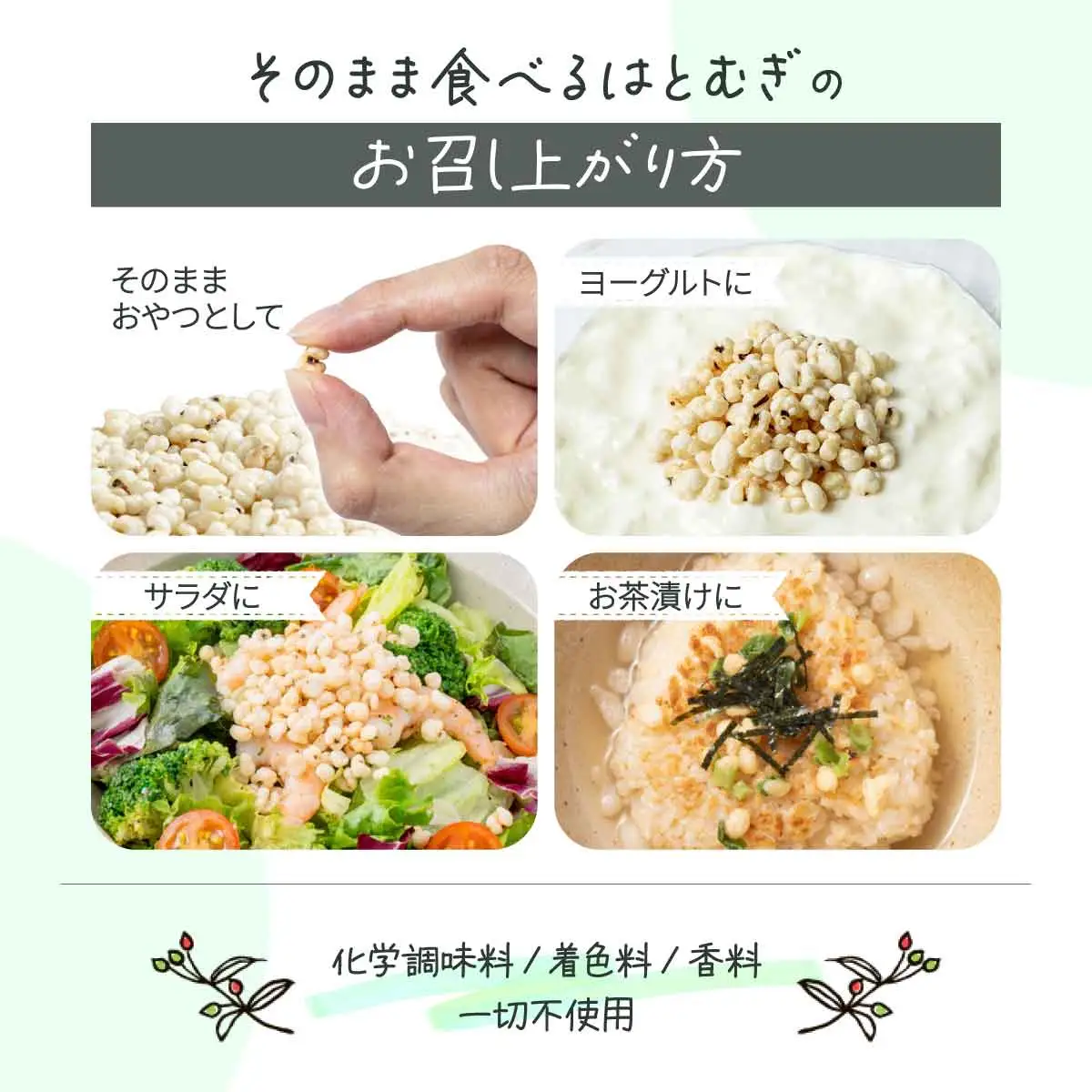 サクサクおやつ「そのまま食べるはとむぎ」2袋【crt-002】