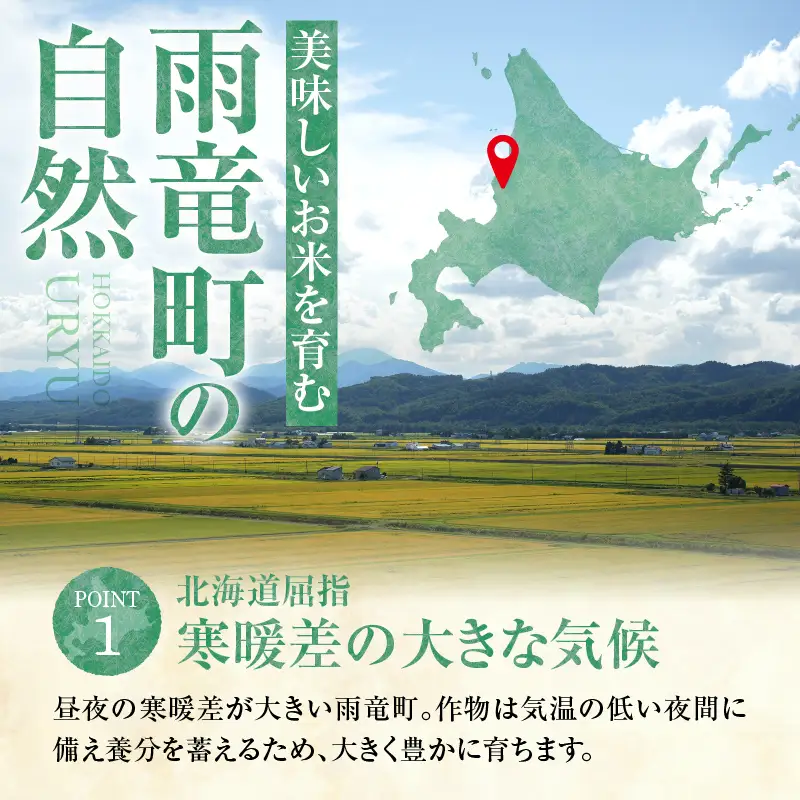 【9月発送】 うりゅう米 ゆめぴりか 無洗米 5kg（5kg×1袋） お米 米