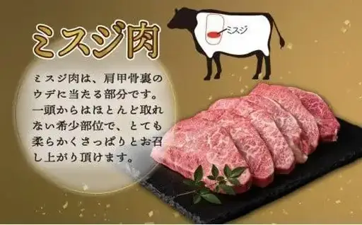 《2026年8月発送》宮崎牛ミスジステーキ600g_K033-045-2608
