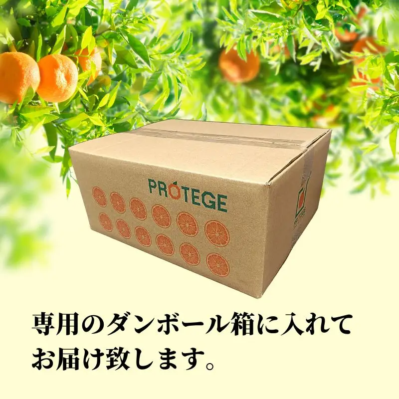 【2027年2月下旬頃から順次発送】甘夏 家庭用  約5kg | 愛媛 愛媛県産みかん 蜜柑 ミカン mikan みかん あまなつ  柑橘 お取り寄せ グルメ 期間限定 数量限定 酸味 果物 旬  愛媛県 松山市 【PT054】