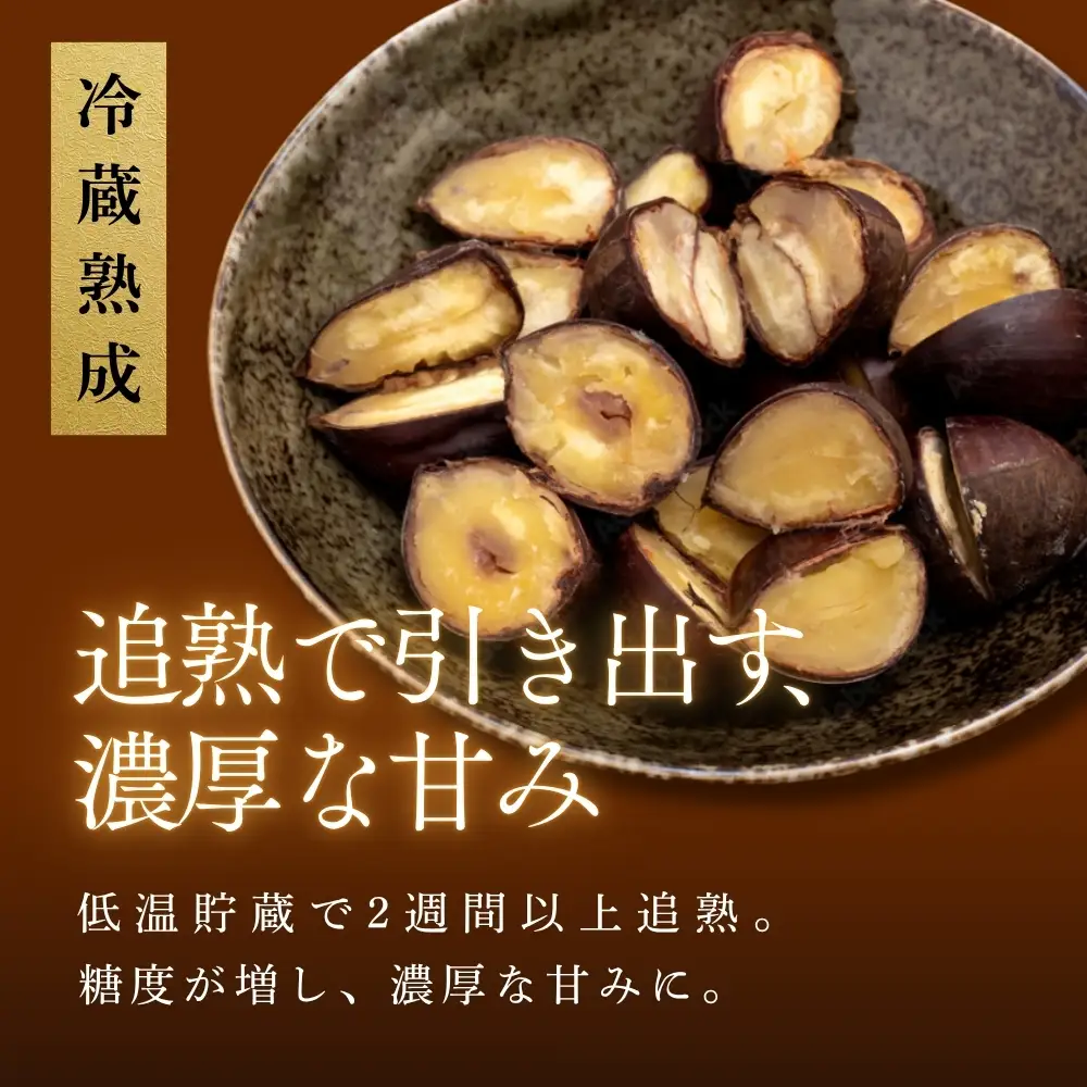 丹波栗 500g お試し 品評会受賞 栗