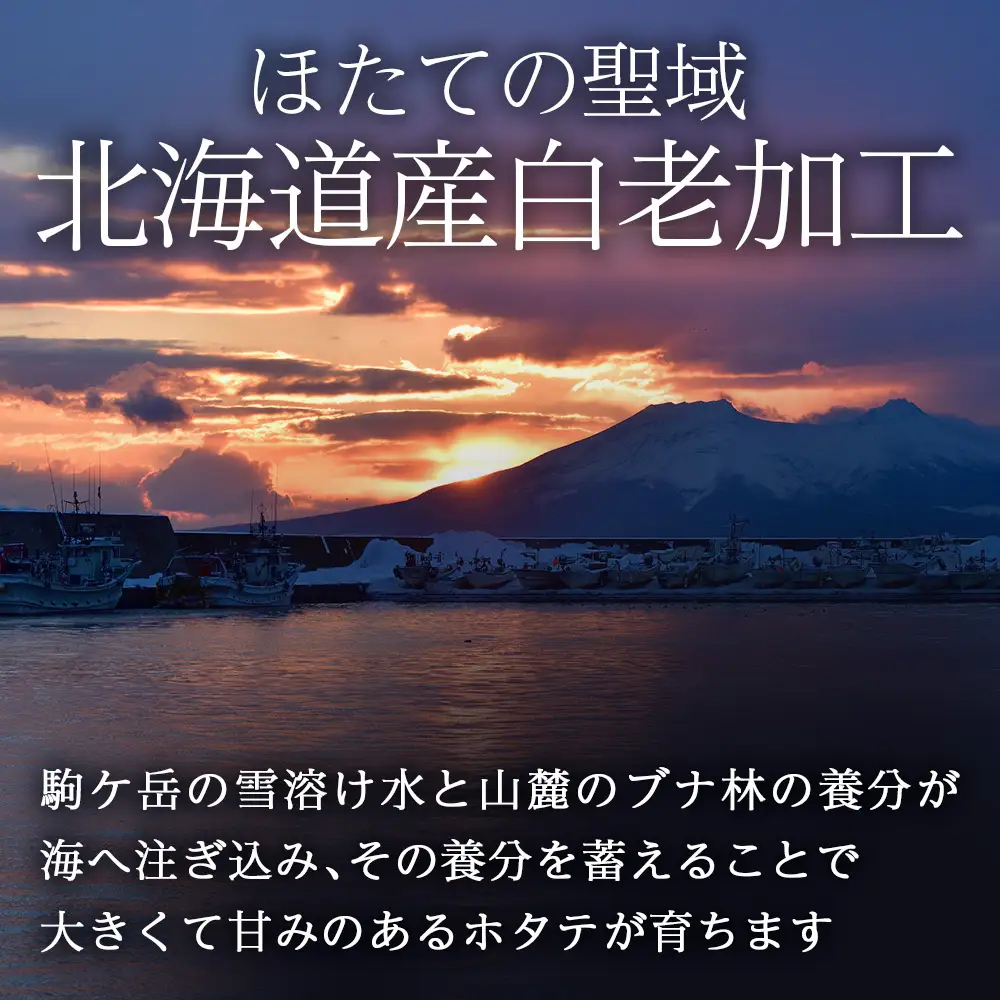 北海道産 白老加工 ホタテ玉冷大 計1.6kg（800g×2袋）＜斉藤水産＞ AM210