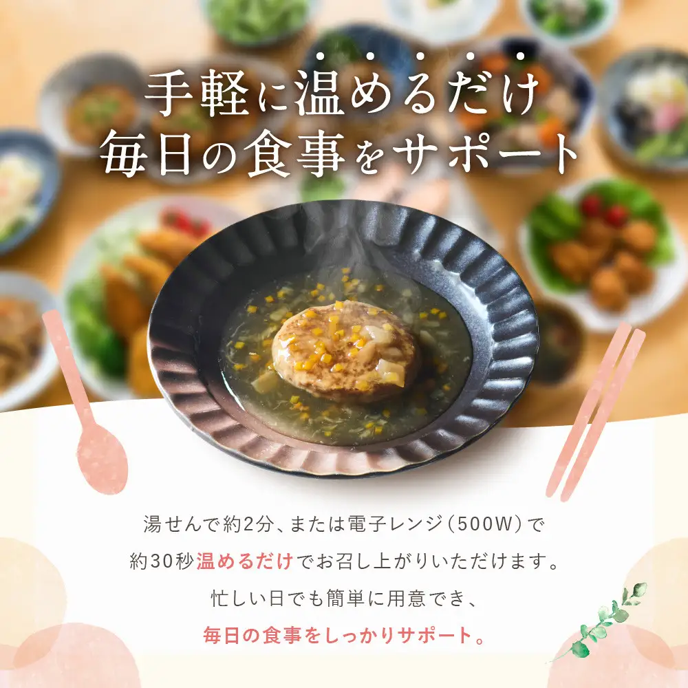 介護食 やわらか煮込みハンバーグ 10個｜レトルト 介護食品