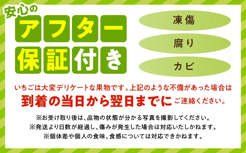 【先行予約】苺音エコノミーハーフ ～気軽に楽しむさぬきひめいちご～ 約640g | おすすめ 人気 果実 果肉 果物 フルーツ デザート 贈り物 苺 さぬきひめ 贈答 ご褒美 ギフト 旬の果物 季節の果物 旬 季節 青果物 香川県 三木町 |_mk137-009