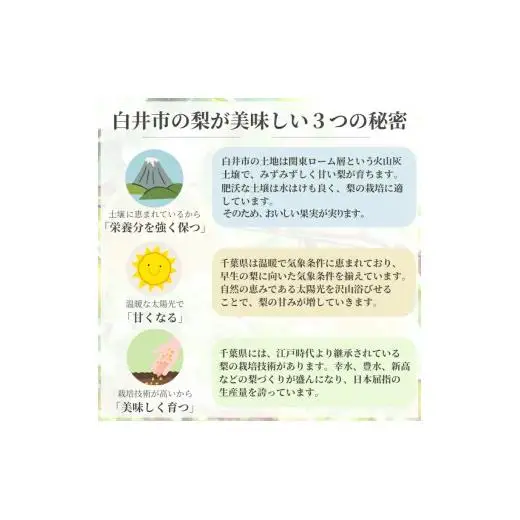 【2026年秋収穫分】豊水 梨 5kg 12～16玉 予約受付 しろいの梨 果汁たっぷり ジューシー みずみずしい 甘い 美味しい