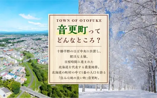 【ふるなび限定】【11ヶ月定期便】ゆきしずか納豆 3段×12個セット【D37】 合計396食分 なっとう 大豆 朝食