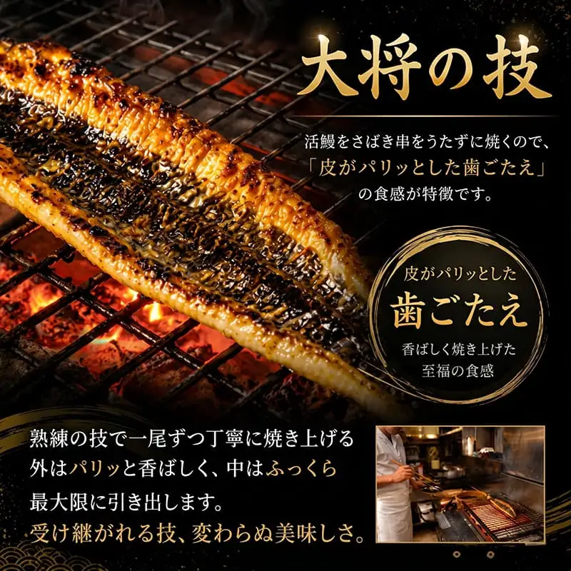 室戸市 うなぎ 高知県産定期便 全3回 | うなぎ