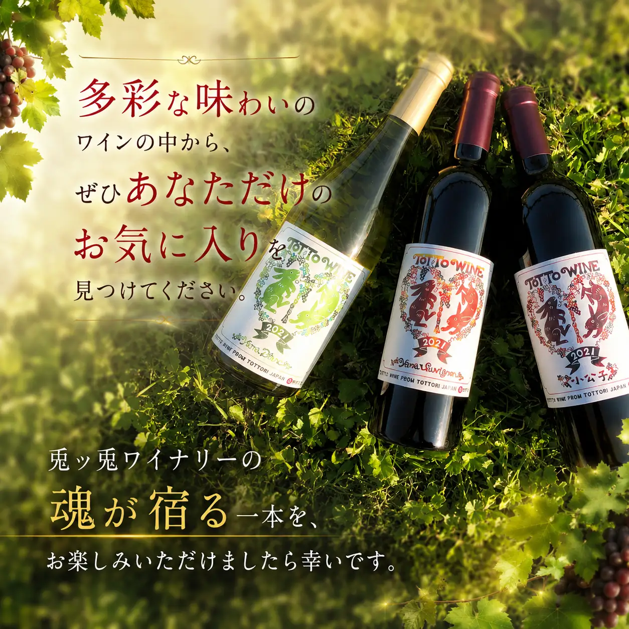 Y1089 【贈答用】八頭町産ぶどう100%使用プレミアムセレクション｜兎ッ兎ワイン3本セット