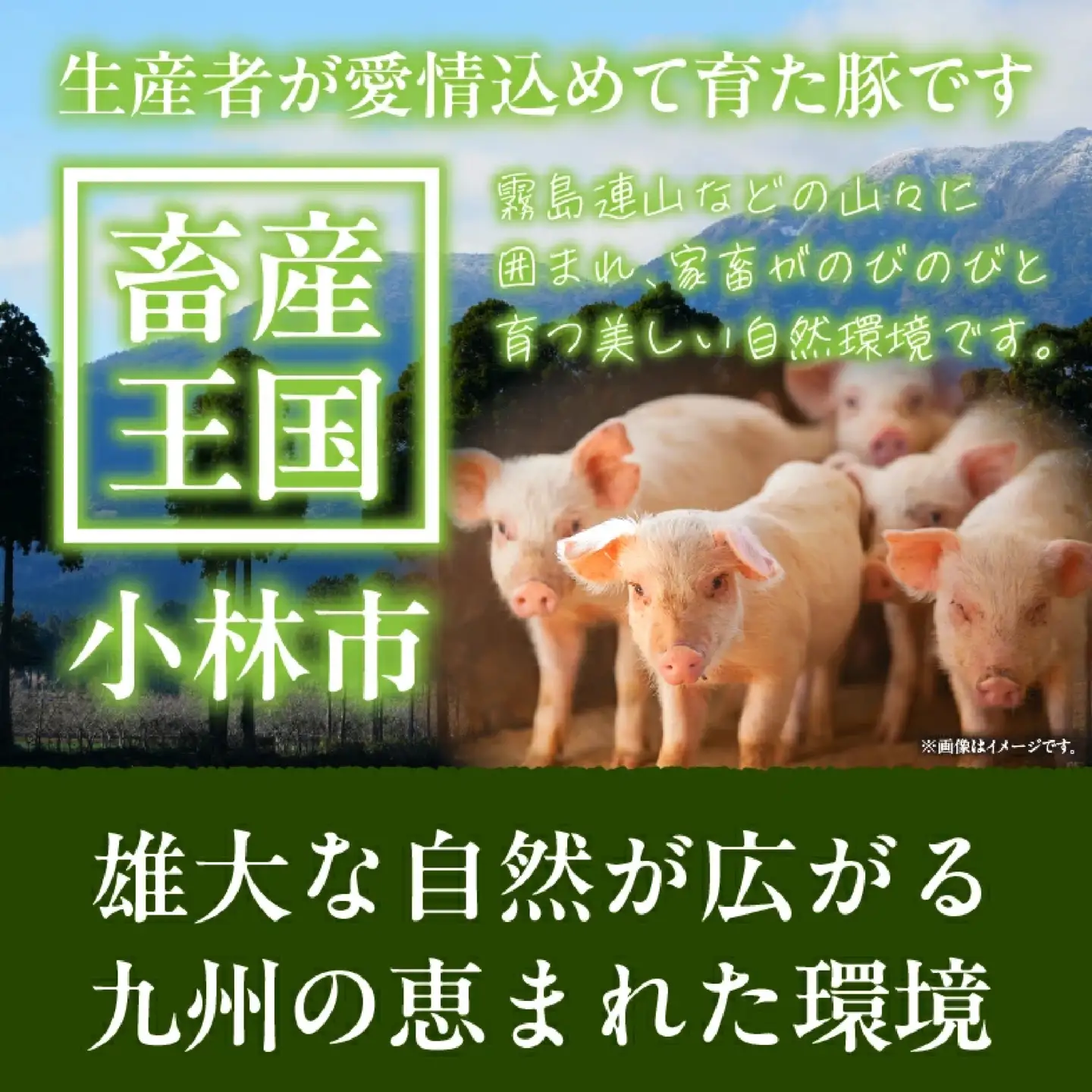 【定期便・全3回】九州産豚肉3種セット定期便(大容量 九州産豚肉 国産豚肉 炒め物 しゃぶしゃぶ とんかつ 焼肉 生姜焼き 肉じゃが カレー 豚汁)