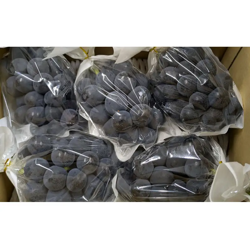 ナガノパープル約2kg(4～5房) ぶどう 葡萄 種なし 果物 上田市