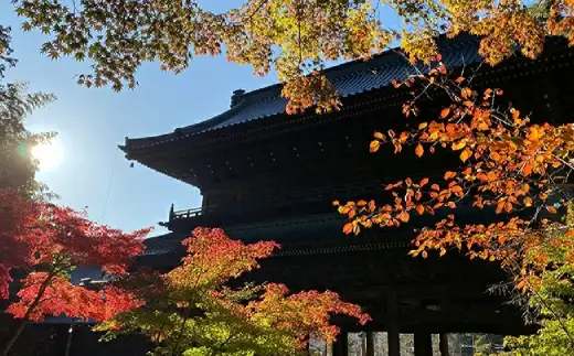 田中屋旅館 1泊2食付き ペア 宿泊券 宿泊チケット 券 チケット 宿泊 旅館 食事付き 久遠寺 身延山 夫婦 カップル 送迎