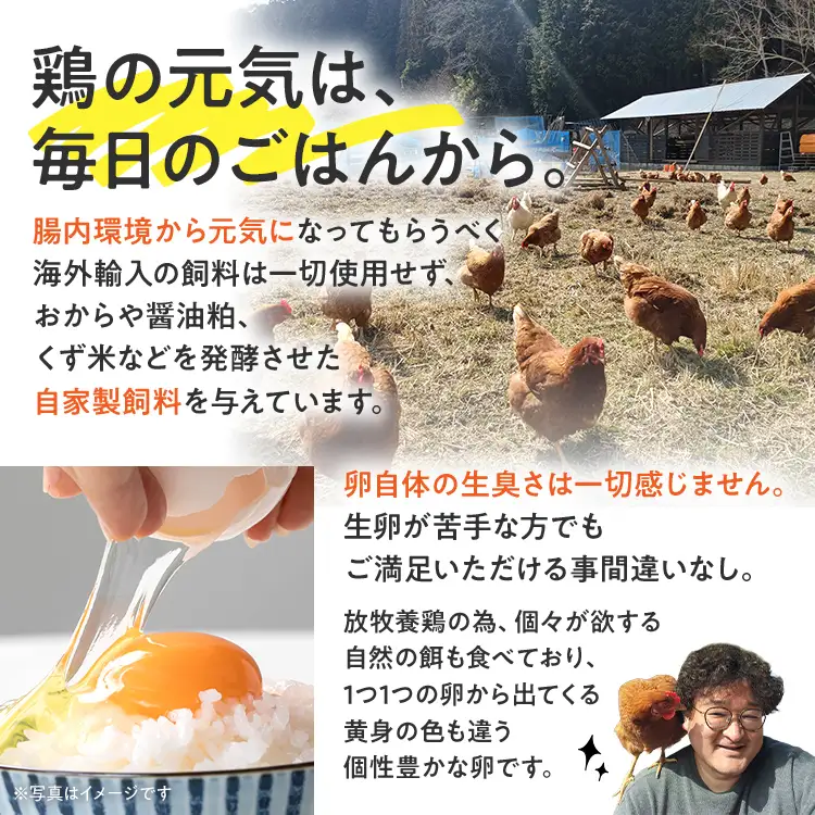 卵 定期便 3回 放牧養鶏卵 10個 「破損補償2個含」 3ヶ月間 若のレボリューション 卵 ※北海道・沖縄・離島は配送不可