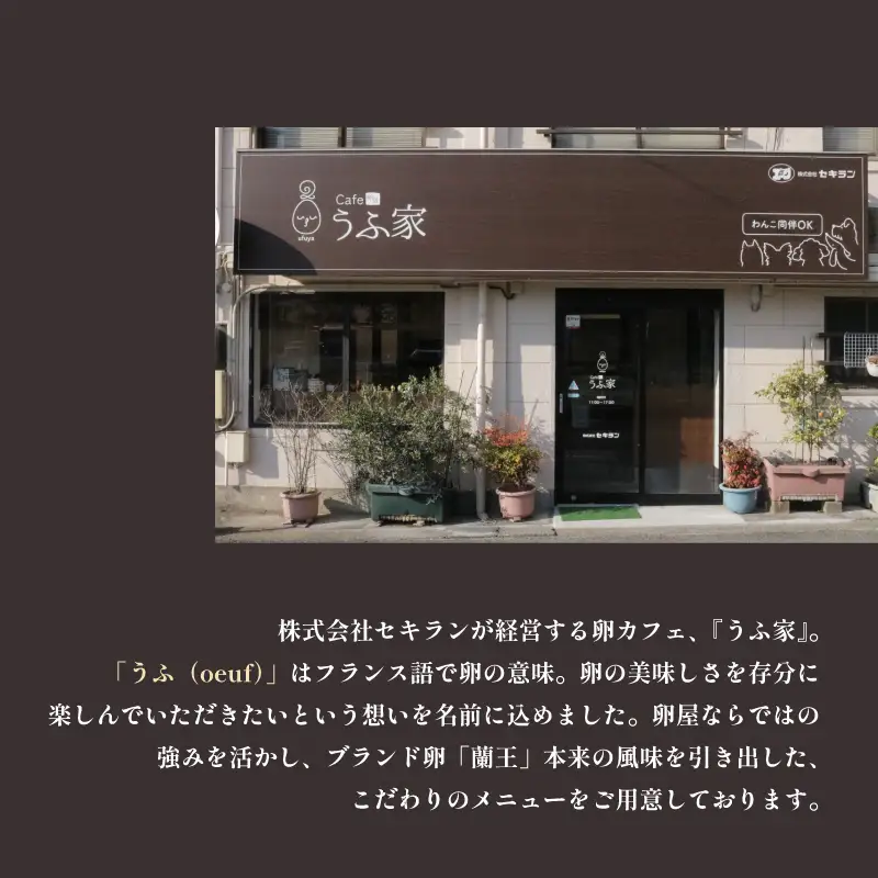 うふ家ぷりん 6個 プリン セット NR