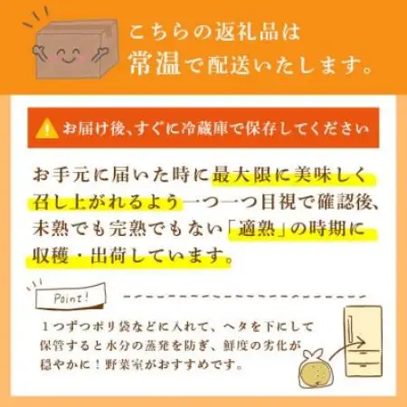 新高 梨 5kg 8～12玉 予約受付 梨 なし 甘い かすみがうら市【配送不可地域：離島・沖縄県】【1743817】