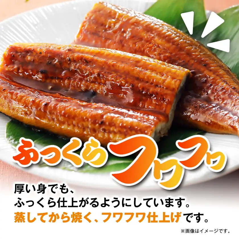 うなぎ長蒲焼約570g(約190g×3)【配送不可地域：離島】【1743609】