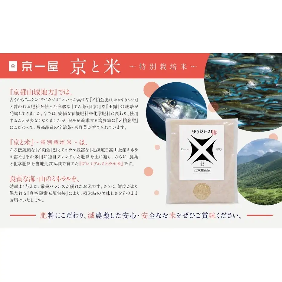 お米 京と米 ゆうだい21 4kg お米
