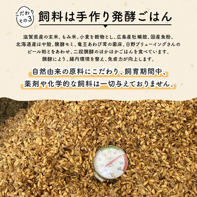 期間限定 初卵 平飼い有精卵 30個