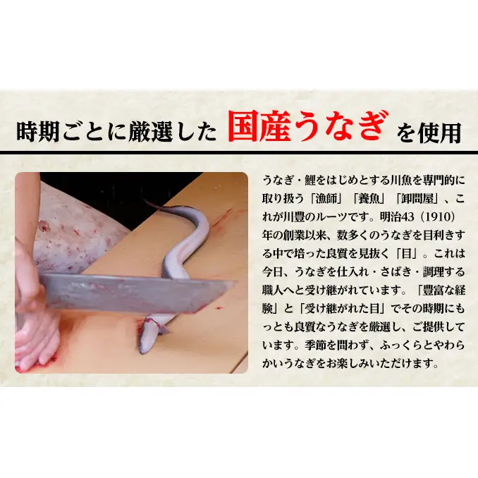 うなぎ 国産 上蒲焼 1人前 セット 成田名物 冷凍 うなぎ