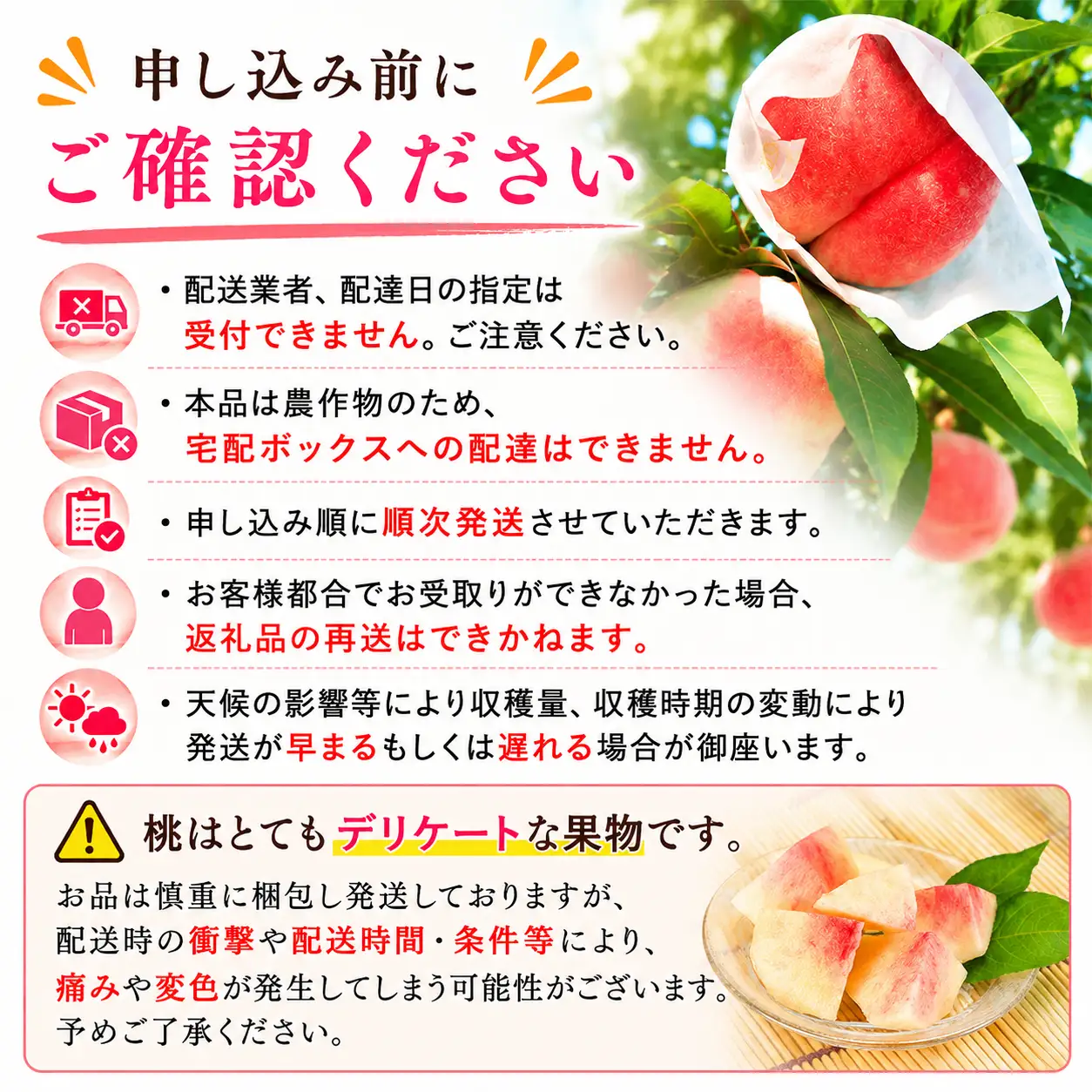 【8月下旬発送】 桃 川中島白桃 約1.2㎏ 先行予約 訳あり 桃 fujimura001