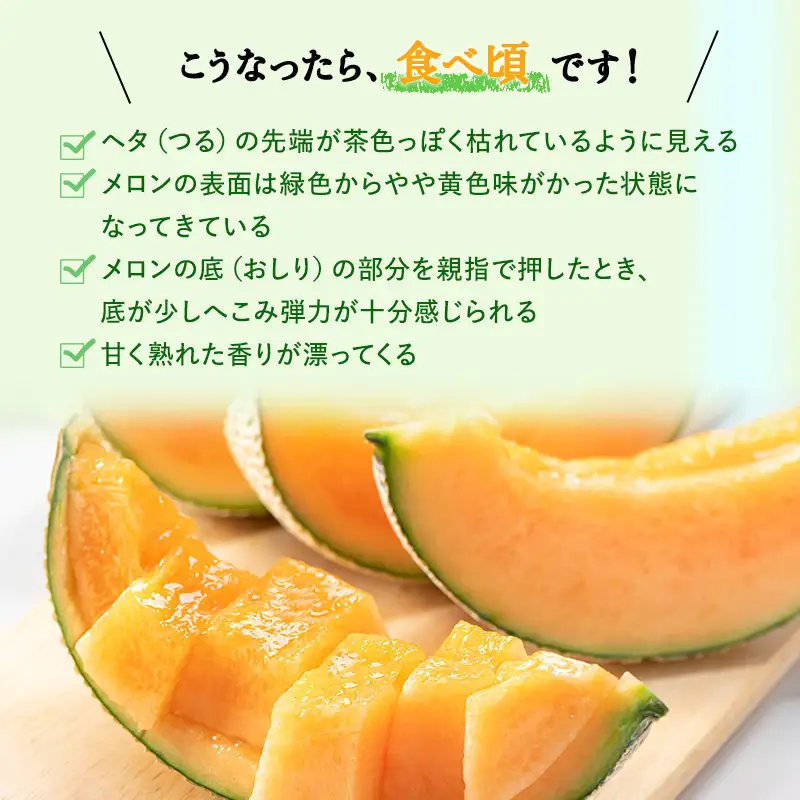 【令和8年産】赤肉メロン 約2kg 2玉 JAふらの 果物 フルーツ メロン