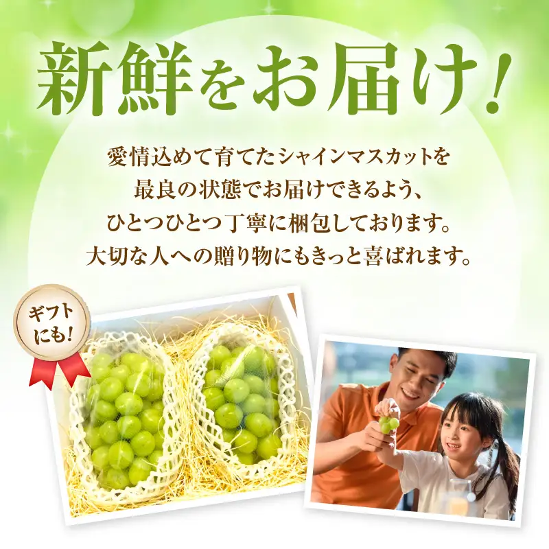 【先行予約：2026年9月上旬以降発送】北海道産シャインマスカット 1kg【秀品２房】_Y164-0002